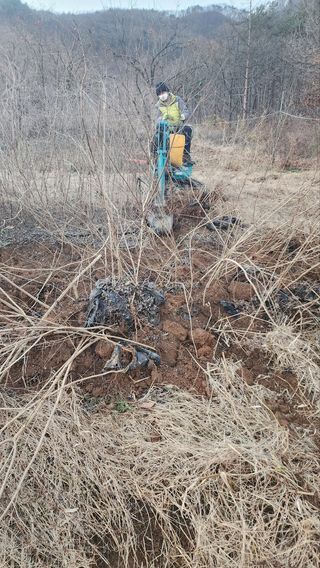 서성환님의 기타작물 · 영농일지 작성글 사진