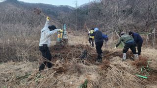 서성환님의 기타작물 · 영농일지 작성글 사진