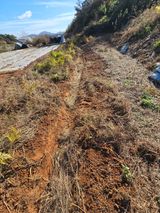 팜모닝 자유주제·자유게시판 게시글 이미지