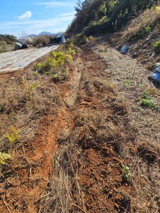 김세리님의 자유주제 · 자유게시판 작성글 사진