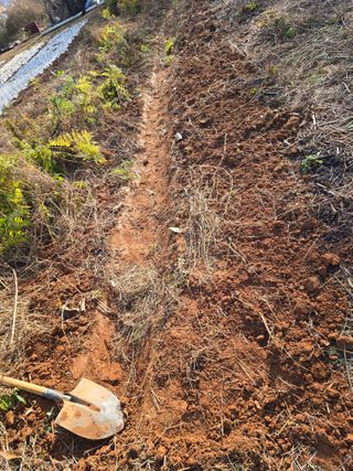 김세리님의 자유주제 · 자유게시판 작성글 사진