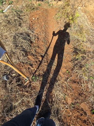 김세리님의 자유주제 · 자유게시판 작성글 사진