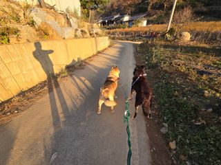 김세리님의 자유주제 · 자유게시판 작성글 사진