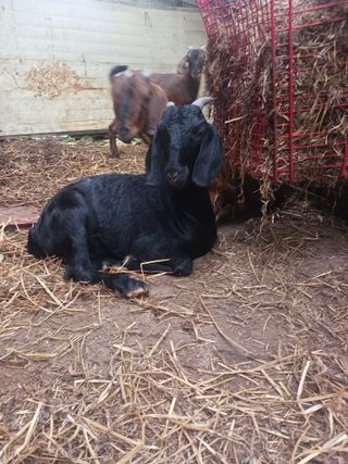 최제영님의 자유주제 · 자유게시판 작성글 사진