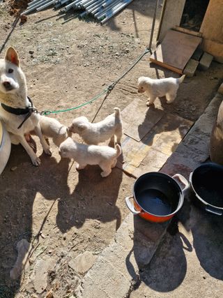 박영석님의 농사, 무엇이든 물어보세요! · 참여글 작성글 사진