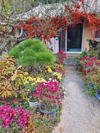 농촌사랑님의 자유주제 · 자유게시판 작성글 사진