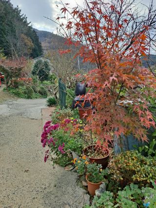 농촌사랑님의 자유주제 · 자유게시판 작성글 사진
