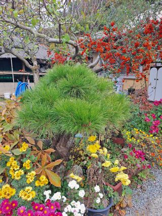 농촌사랑님의 자유주제 · 자유게시판 작성글 사진