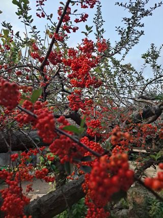 농촌사랑님의 자유주제 · 자유게시판 작성글 사진