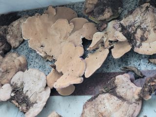 박헌님의 자유주제 · 사진전 작성글 사진