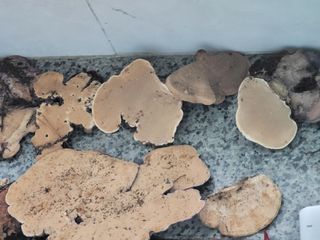 박헌님의 자유주제 · 사진전 작성글 사진