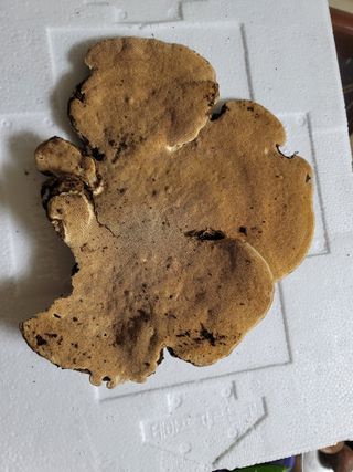 박헌님의 자유주제 · 사진전 작성글 사진