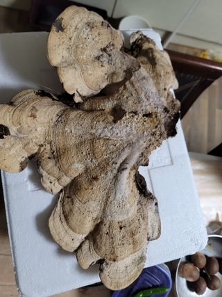 박헌님의 자유주제 · 사진전 작성글 사진