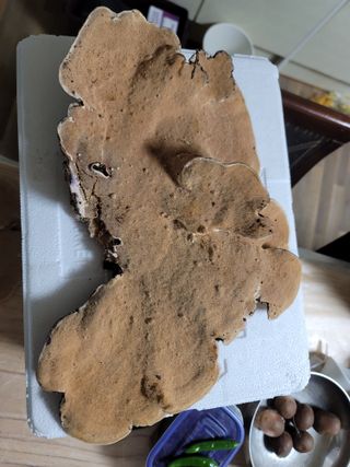 박헌님의 자유주제 · 사진전 작성글 사진