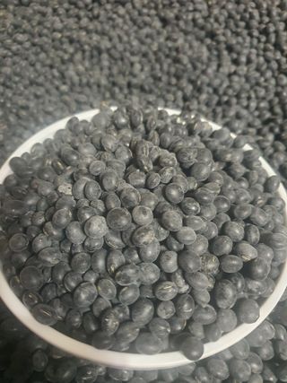 엘림농장님의 콩 · 영농일지 작성글 사진