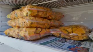 이철수님의 기타작물 · 영농일지 작성글 사진