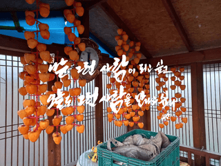 김년욱님의 자유주제 · 자유게시판 작성글 사진