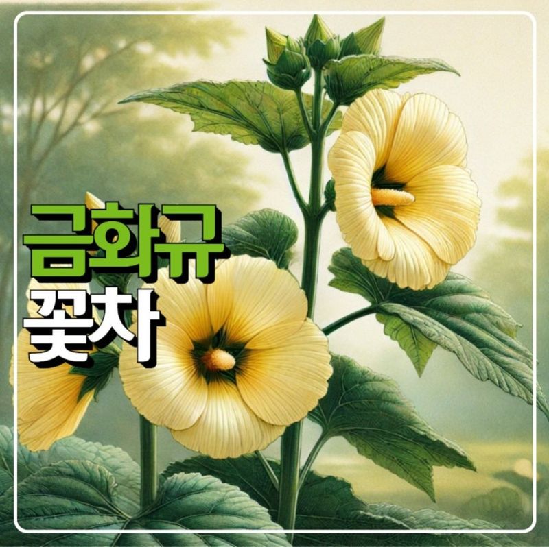 장터 상품 [금화규씨앗 100립] 썸네일