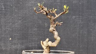 이정운님의 12월 작물 자랑하기 · 참여글 작성글 사진