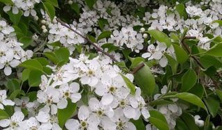 이정운님의 12월 작물 자랑하기 · 참여글 작성글 사진