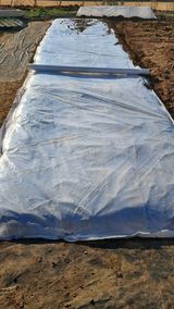 팜모닝 12월 작물 자랑하기·참여글 게시글 이미지