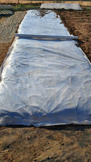 진요복님의 12월 작물 자랑하기 · 참여글 작성글 사진