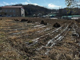 박현희님의 콩 · 영농일지 작성글 사진