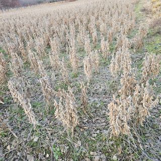 백용기님의 자유주제 · 자유게시판 작성글 사진