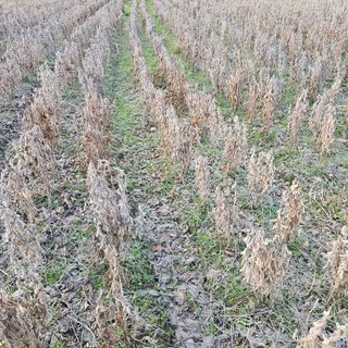 백용기님의 자유주제 · 자유게시판 작성글 사진