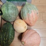 팜모닝 자유주제·자유게시판 게시글 이미지