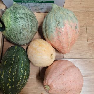 서녕영더기님의 자유주제 · 자유게시판 작성글 사진