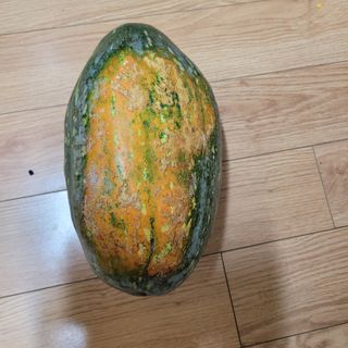 서녕영더기님의 자유주제 · 자유게시판 작성글 사진