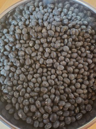 신재경님의 작성글 사진