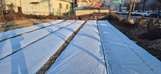 박산하님의 12월 작물 자랑하기 · 참여글 작성글 사진