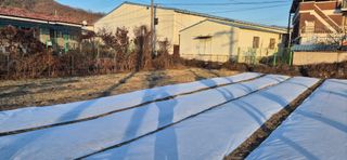 박산하님의 12월 작물 자랑하기 · 참여글 작성글 사진