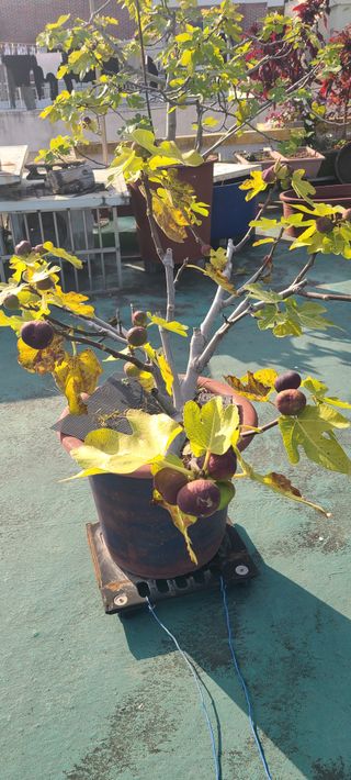 정응화님의 자유주제 · 자유게시판 작성글 사진