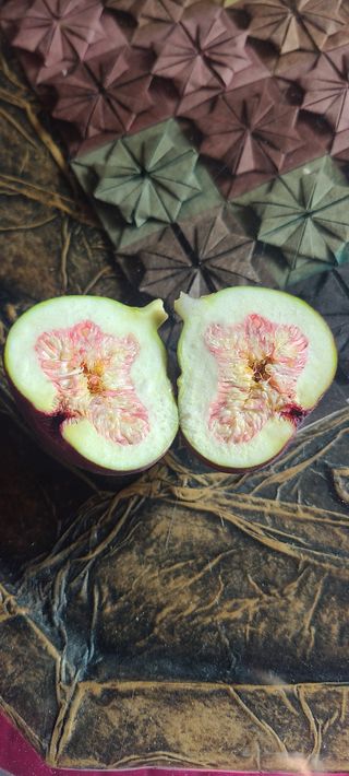 정응화님의 자유주제 · 자유게시판 작성글 사진