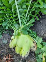 팜모닝 자유주제·사진전 게시글 이미지