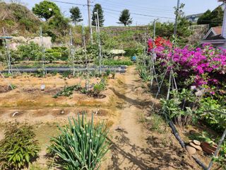 이훈정(시몬)님의 12월 작물 자랑하기 · 참여글 작성글 사진