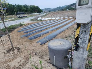 이훈정(시몬)님의 12월 작물 자랑하기 · 참여글 작성글 사진