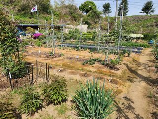 이훈정(시몬)님의 12월 작물 자랑하기 · 참여글 작성글 사진