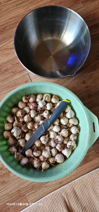 장용선 사진작가농부님의 12월 작물 자랑하기 · 참여글 작성글 사진