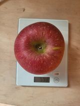 팜모닝 자유주제·자유게시판 게시글 이미지