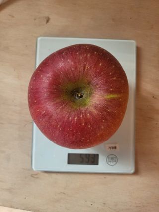 하늘아래사과나무님의 자유주제 · 자유게시판 작성글 사진