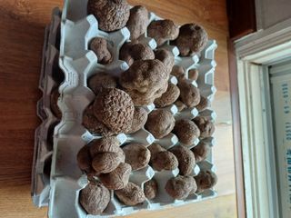 유영옥님의 자유주제 · 자유게시판 작성글 사진