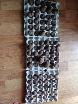 유영옥님의 자유주제 · 자유게시판 작성글 사진