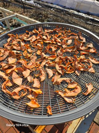 소병찬님의 12월 작물 자랑하기 · 참여글 작성글 사진