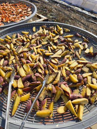 소병찬님의 12월 작물 자랑하기 · 참여글 작성글 사진