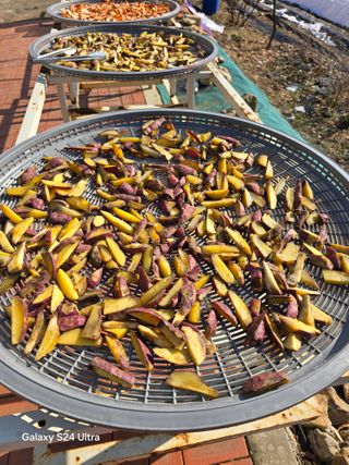 소병찬님의 12월 작물 자랑하기 · 참여글 작성글 사진