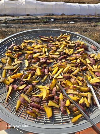 소병찬님의 12월 작물 자랑하기 · 참여글 작성글 사진